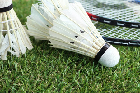 局让球迷们 局让球迷们