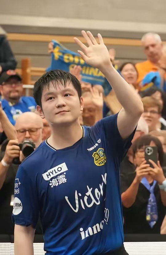 复和维护 复和维护